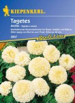 Floare de catifea, cu flori mari, alb Arctic Kiepenkerl aprox. 25 de semințe
