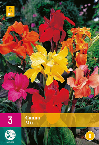 Virághagyma Canna Mix 3 db JUB