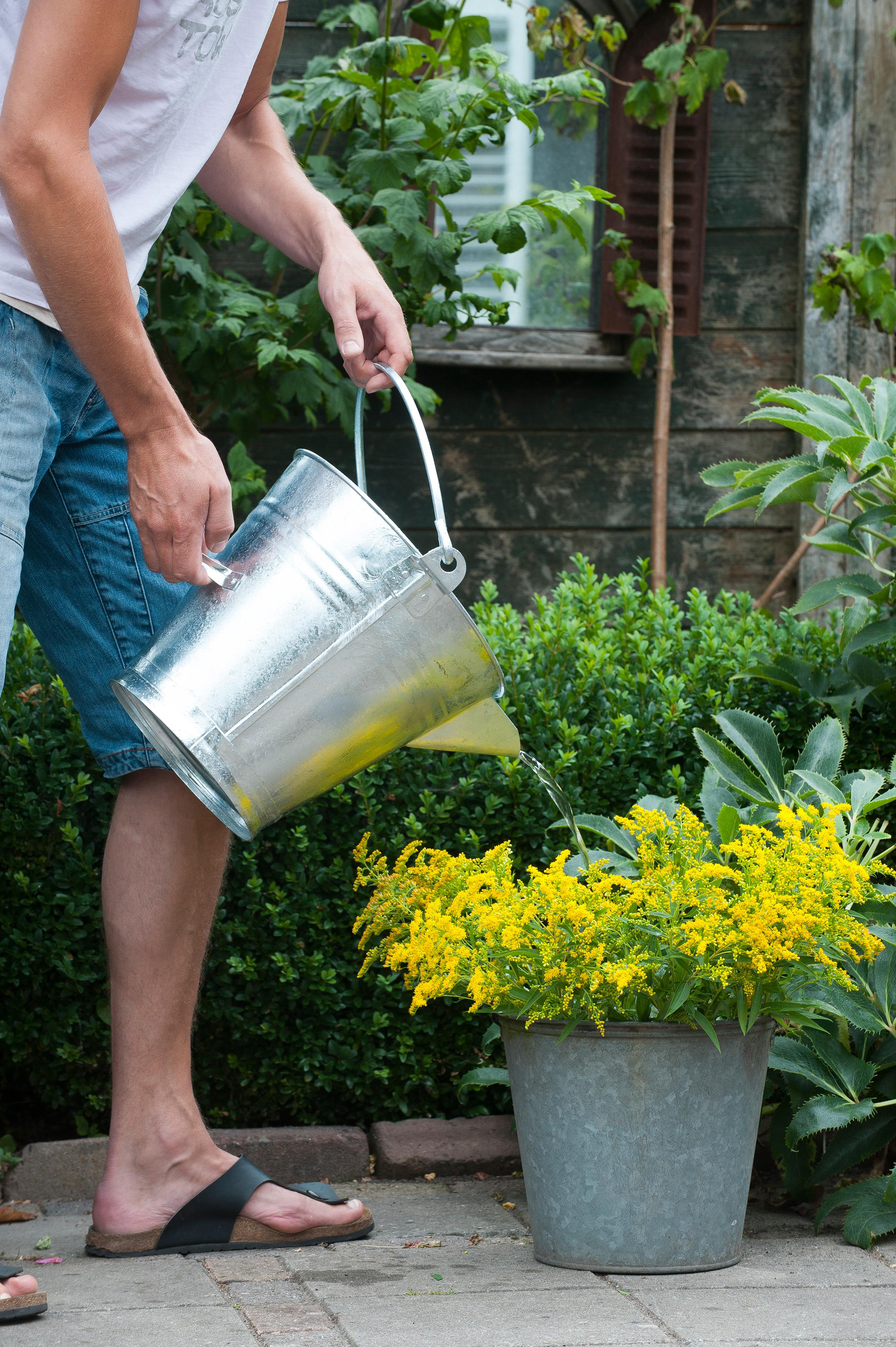 Găleată 11,3l galvanizată