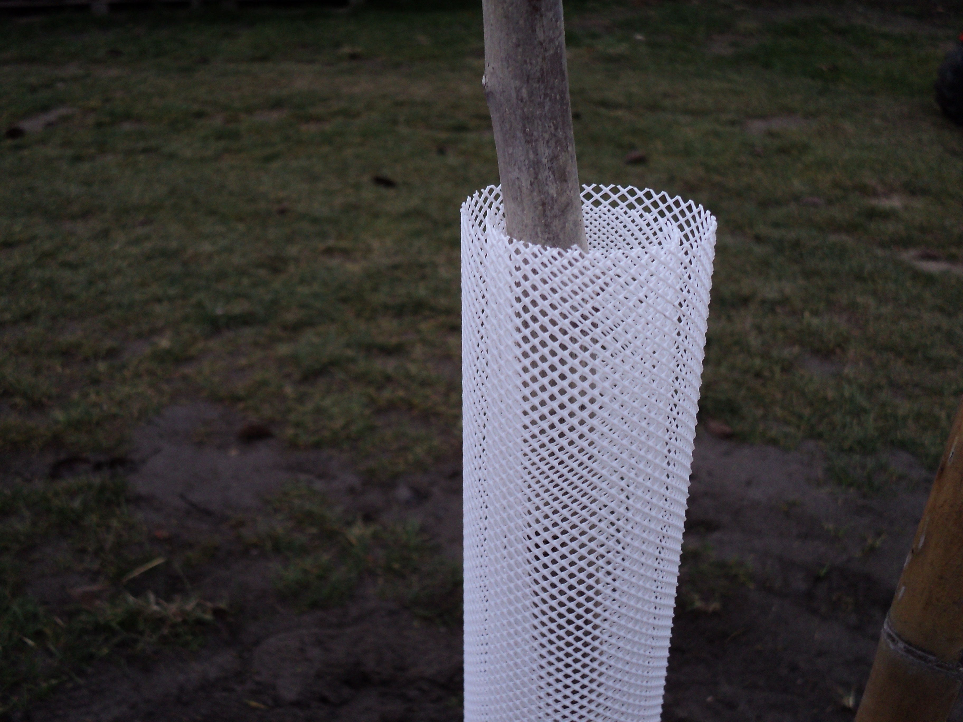 Tree protection grid Treex white 110 cm (6 cm diameter)