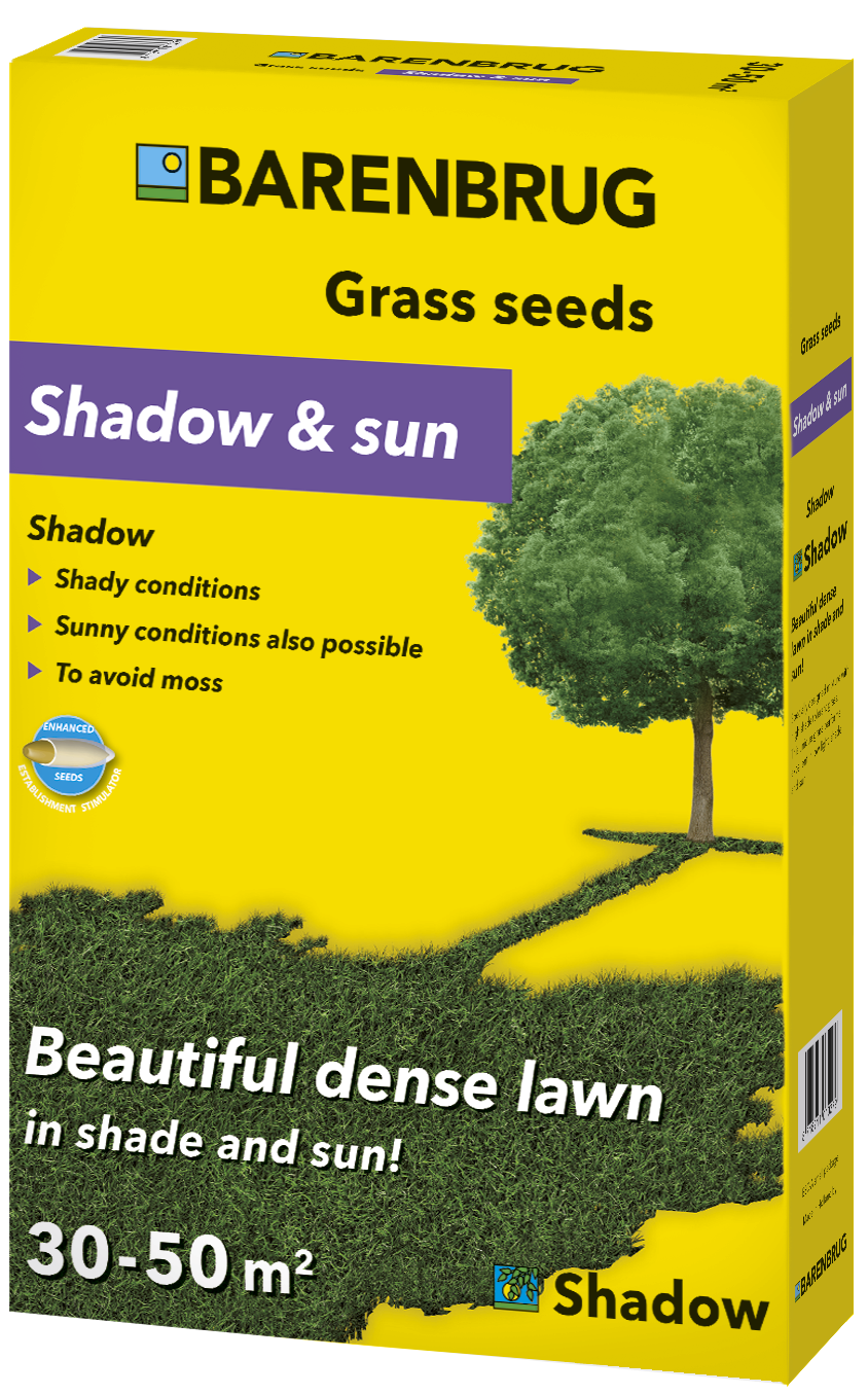  Semințe de iarbă Barenbrug Shadow Gazon 1 kg