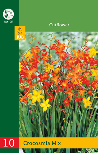 Bulb Crocosmia Mix (Safflower) 20 bucăți JUB