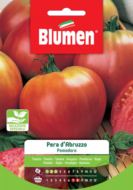 Paradicsom Abruzzói körte Blumen 1,5 g