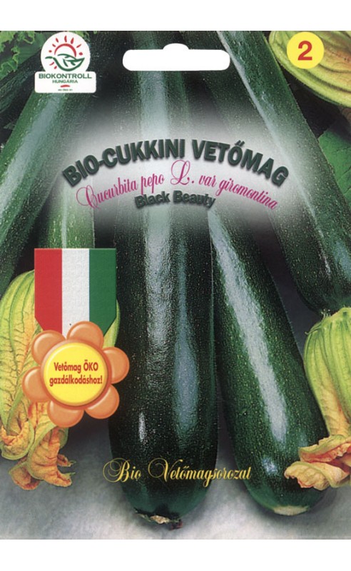 Zucchini Bio Black Beauty BK 2g