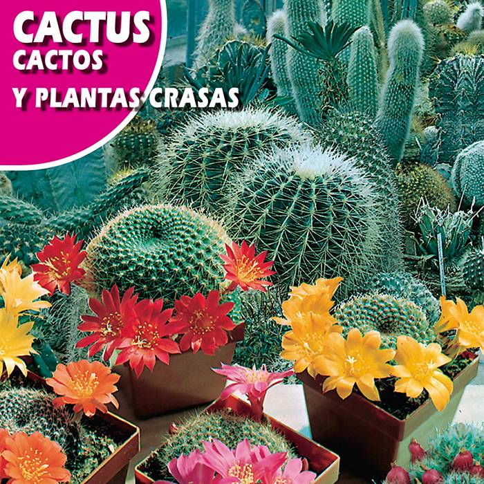 Cactus Mix (Cactos y Plantas crasas) 0,5g