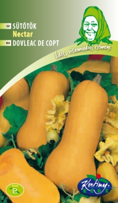Dovleac plăcintar Nectar 10 semințe