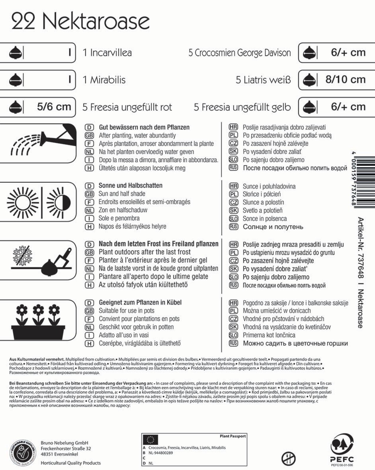 Bulb de flori Nectar Oasis Kiepenkerl 22 buc