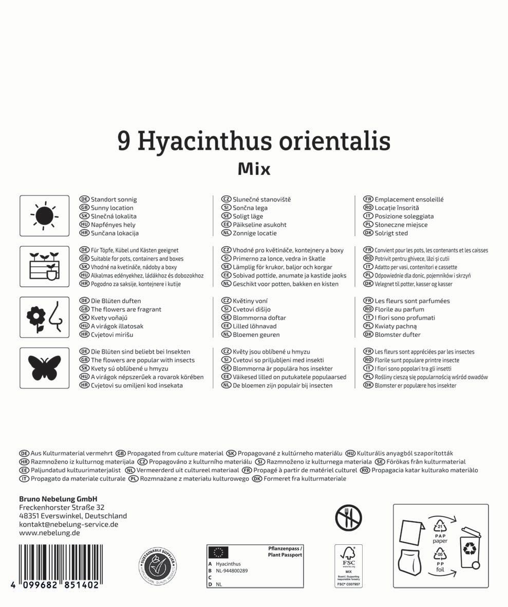 Virághagyma Jácint Mix Megapack Kiepenkerl 9 db