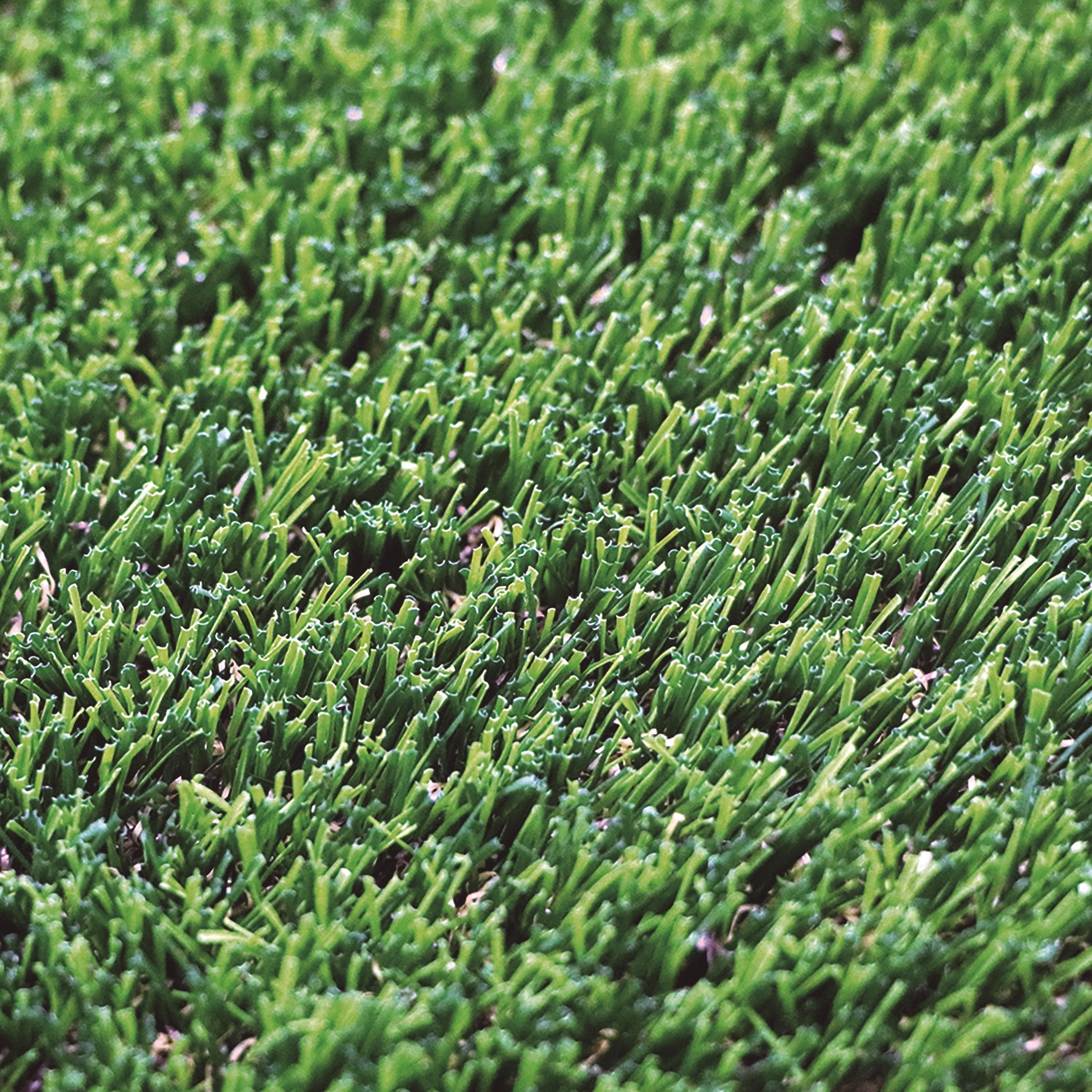 Műfű GREEN DENIA X-TRA 40 2x4 m 40 mm