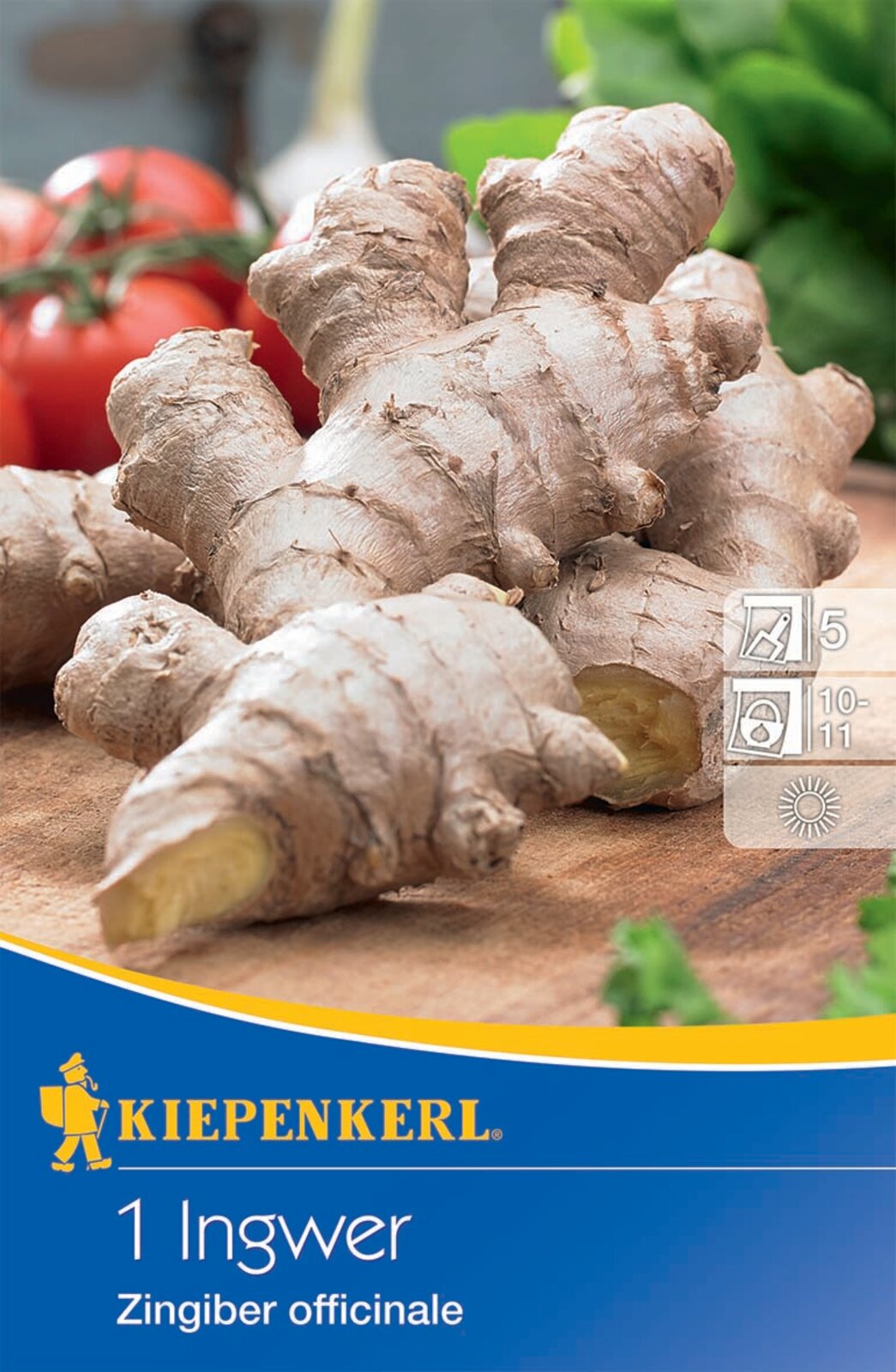 Ginger tuber Kiepenkerl 1 bucată