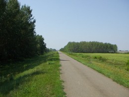 Semințe de iarbă amestec pentru rambleuri Agro-Largo 25 kg