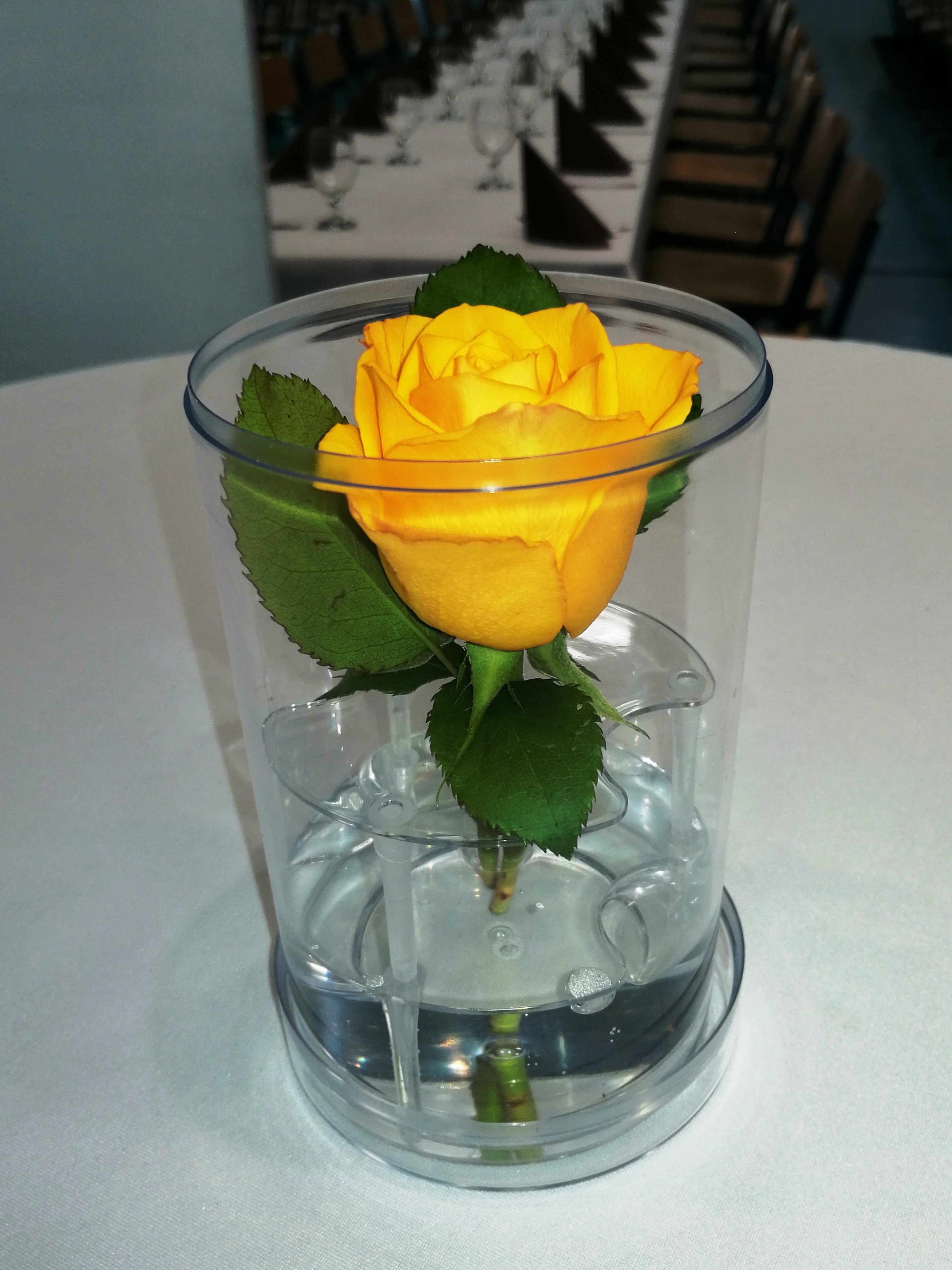 Cutie cu flori din plastic cu 1 fir