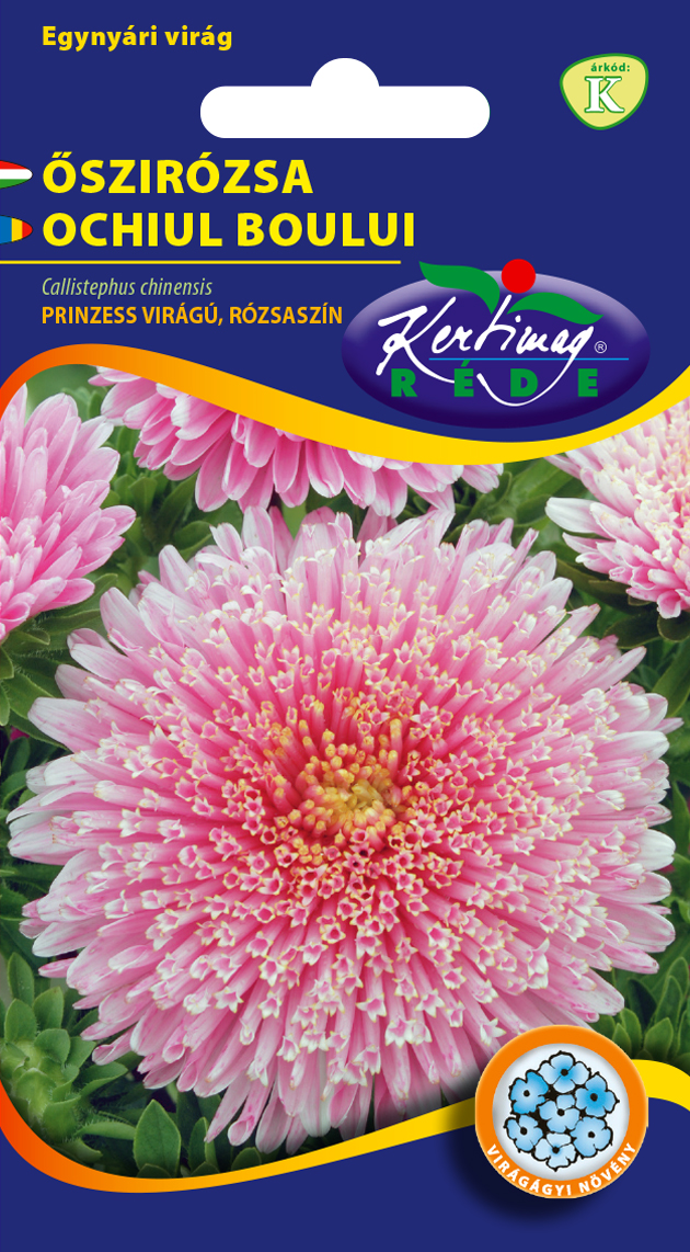 Steluţe de toamnă (Aster) Prinzess roz 1 gr