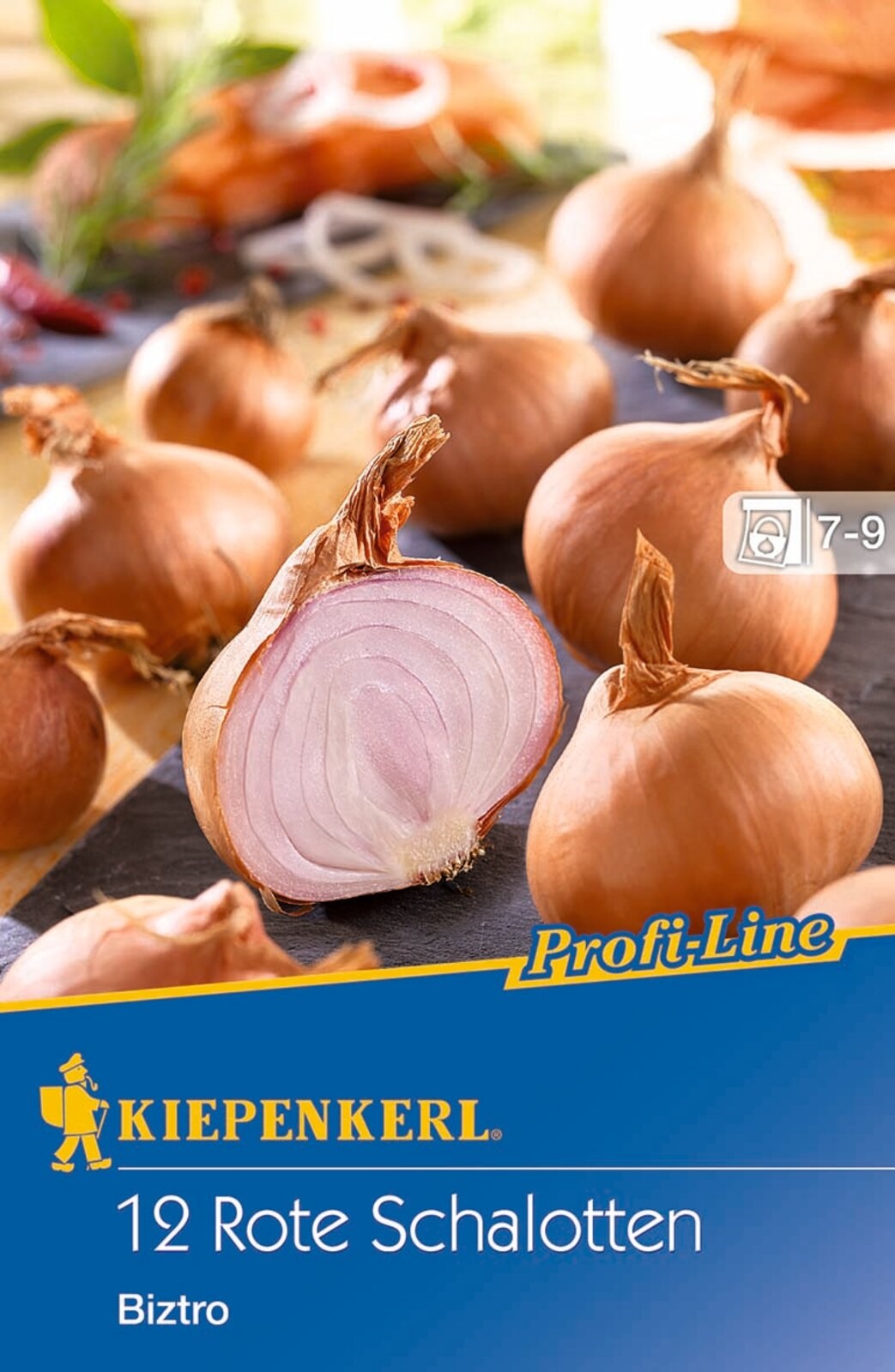 Dughagyma Salottahagyma Biztro (lila) Kiepenkerl 10 db