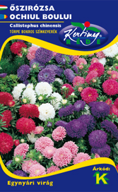 Steluţe de toamnă (Aster) Bukett, amestec de culori 1 gr