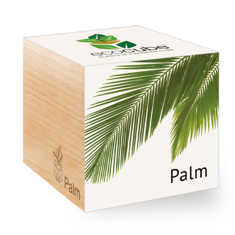 ecocube - Palm