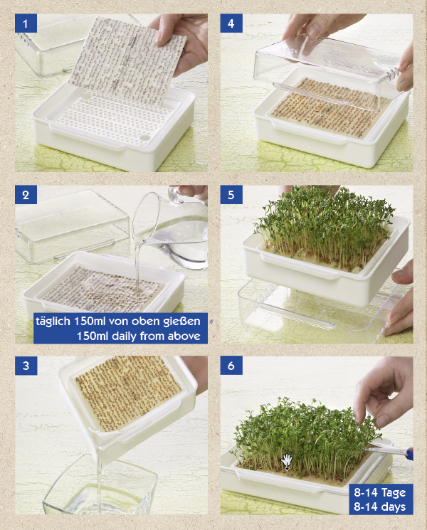 Set de germinație micro-legume (castron de germinare + 4 tipuri de perne de semințe) Kiepenkerl