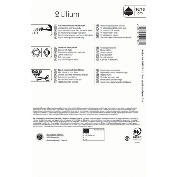 Bulbi de flori crin asiatic Grand Cru Kiepenkerl 2 buc