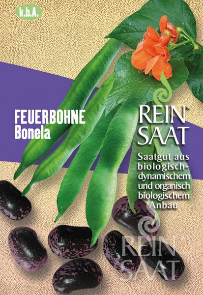 Fasole de foc Bonela organică Bonela fire bean pure seed aproximativ 18 semințe