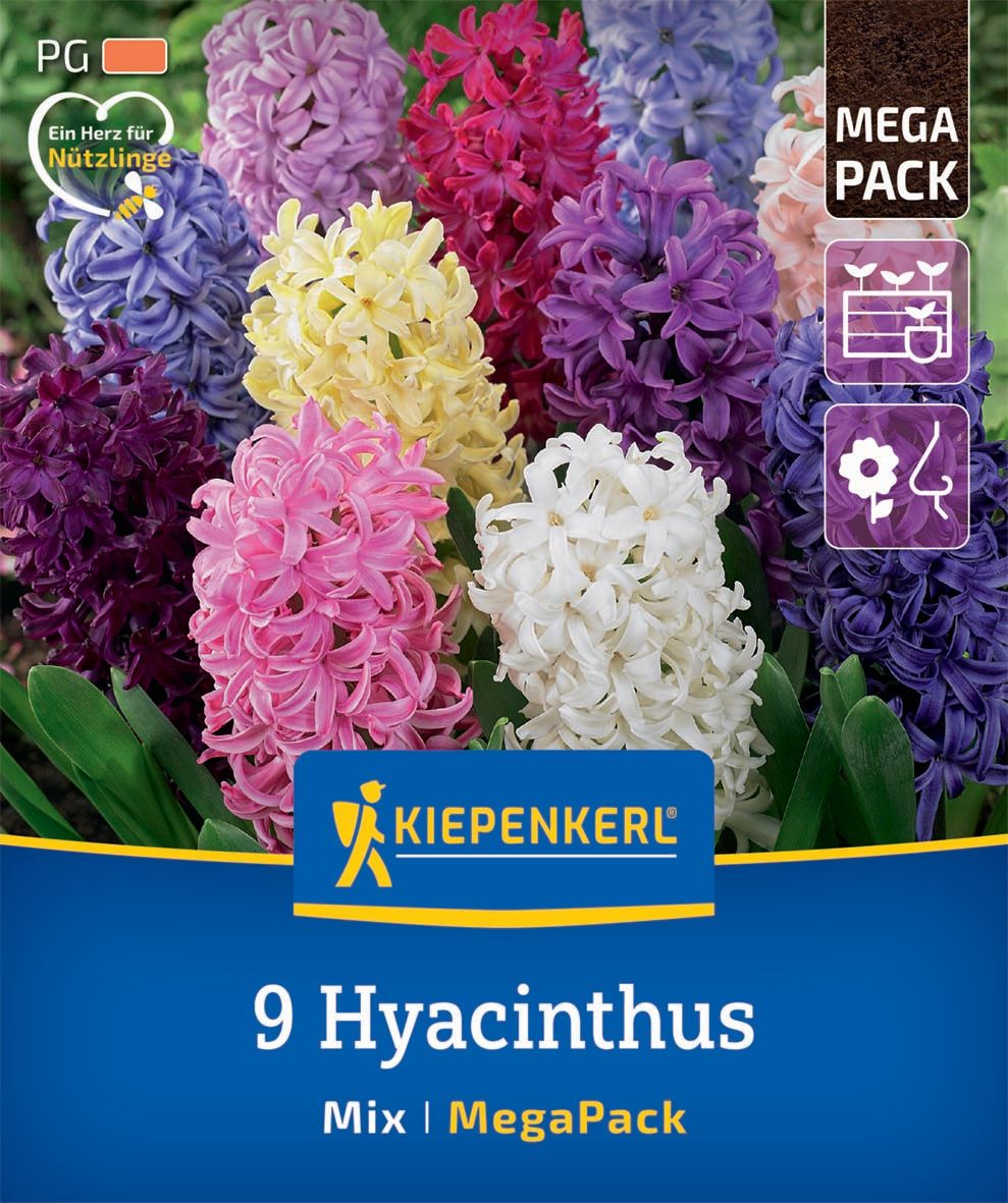 Virághagyma Jácint Mix Megapack Kiepenkerl 9 db