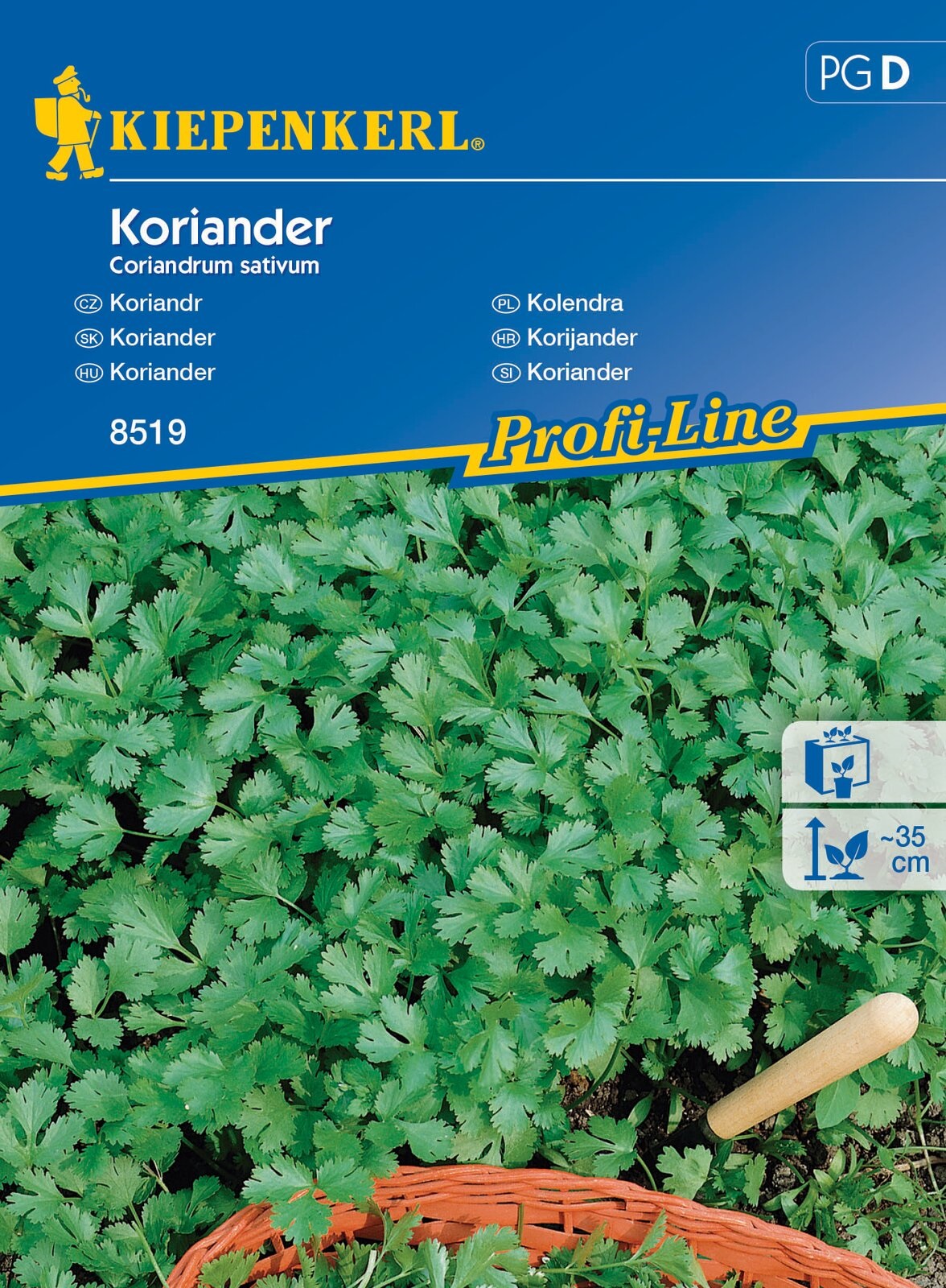 Koriander levél Kiepenkerl kb 70 szem
