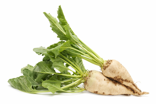 Sfeclă de zahăr Nada 50g