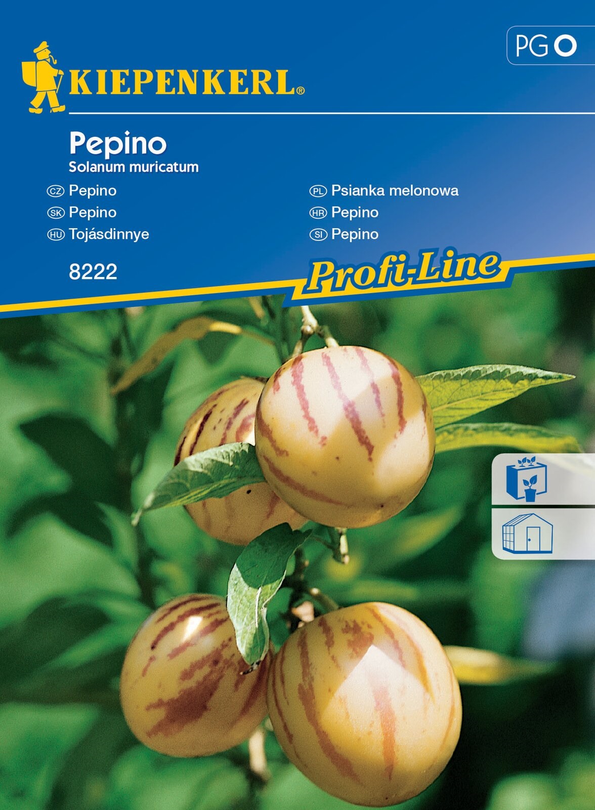 Pepene de ou Pepino Kiepenkerl 10 semințe