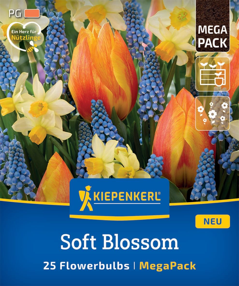 Bulb Tulip-Tulip amestec Soft Blossom Megapack Kiepenkerl 25 buc