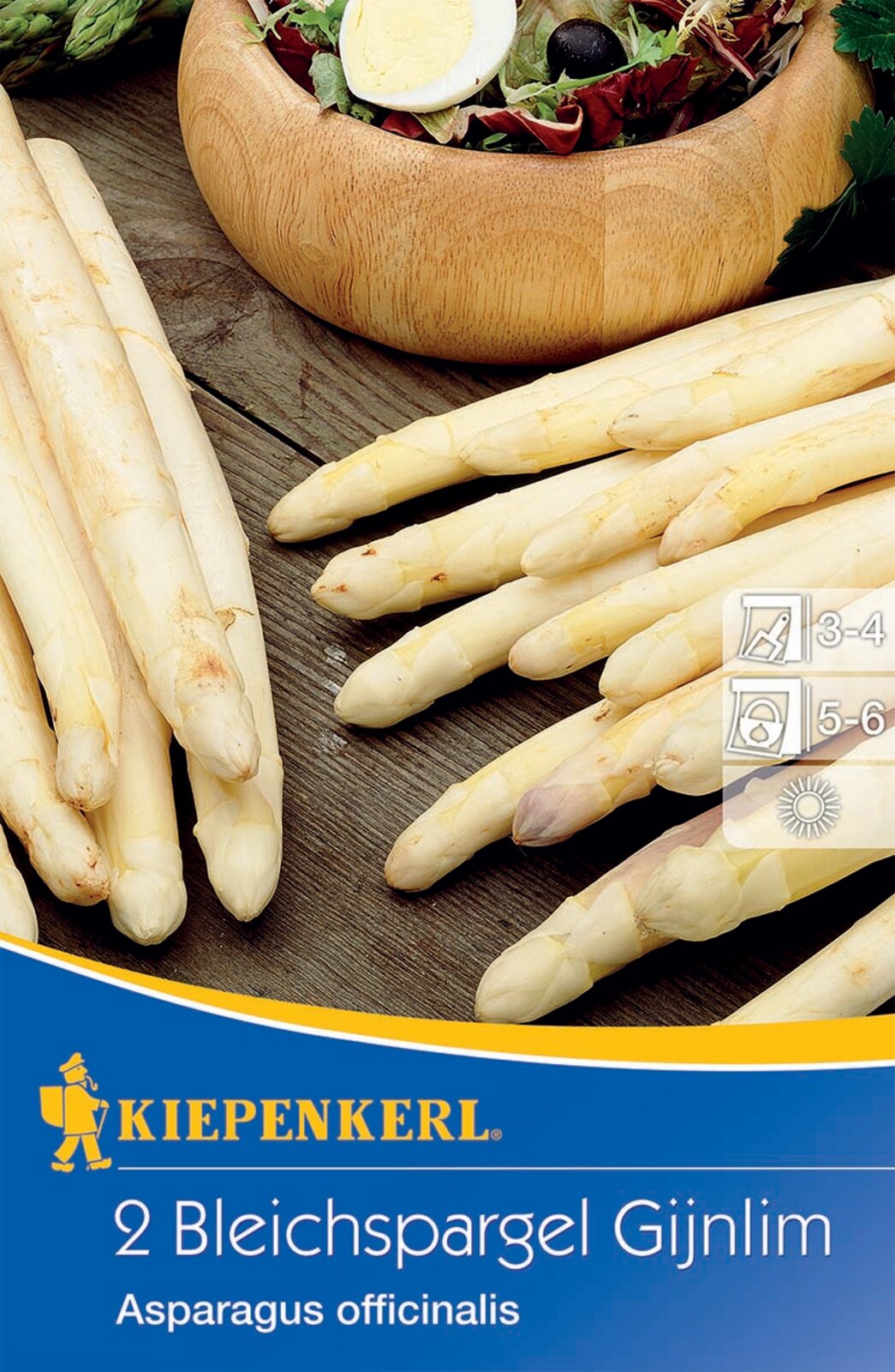 Sparanghel alb Gijnlim Kiepenkerl 2 plante