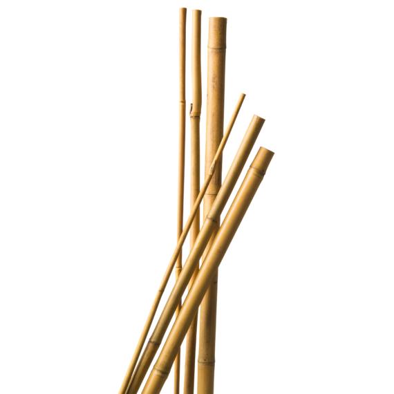 Bamboo plant support 180 cm, 14-16 mm, 3 pcs/pack