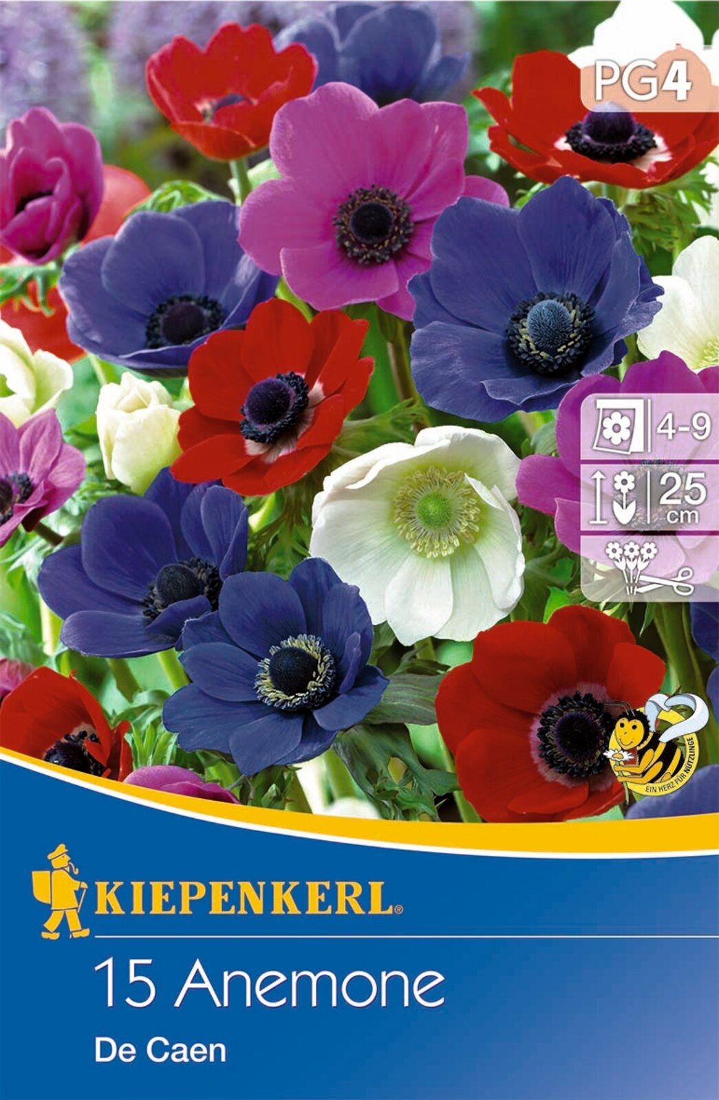 Virághagyma Szellőrózsa (Anemone) De Caen (egyszerű virágú színkeverék) Kiepenkerl 15 db