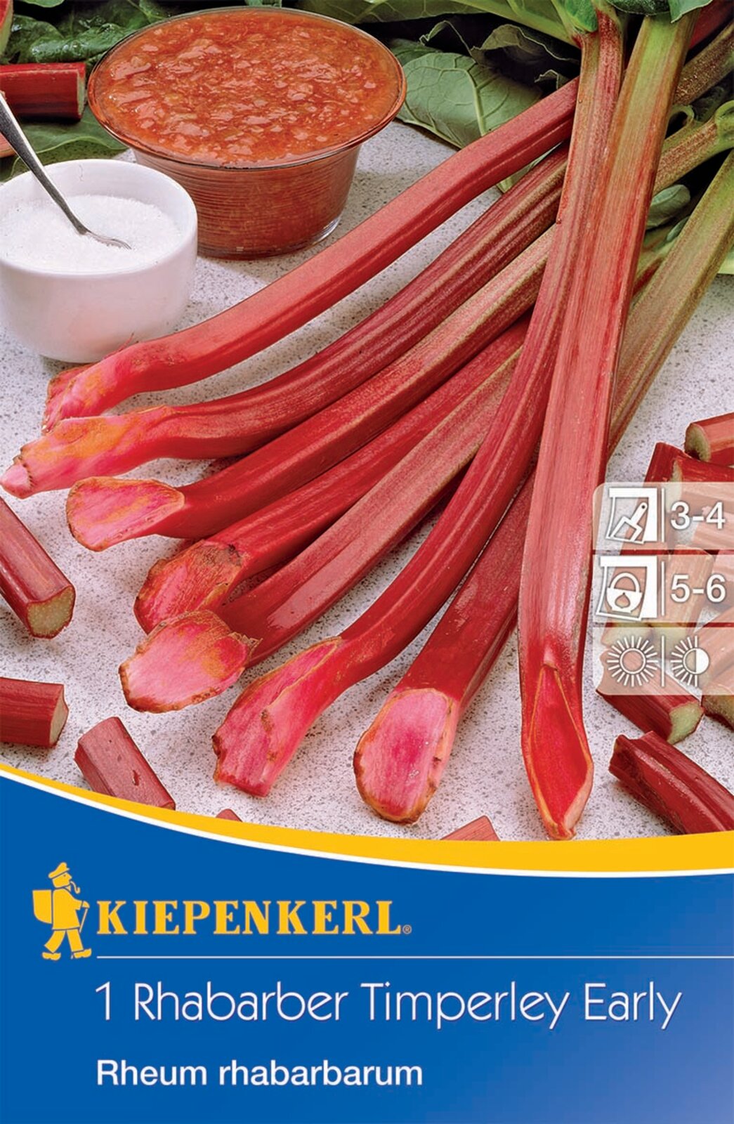 Rabarbăr Timperley Early Kiepenkerl 1 plantă