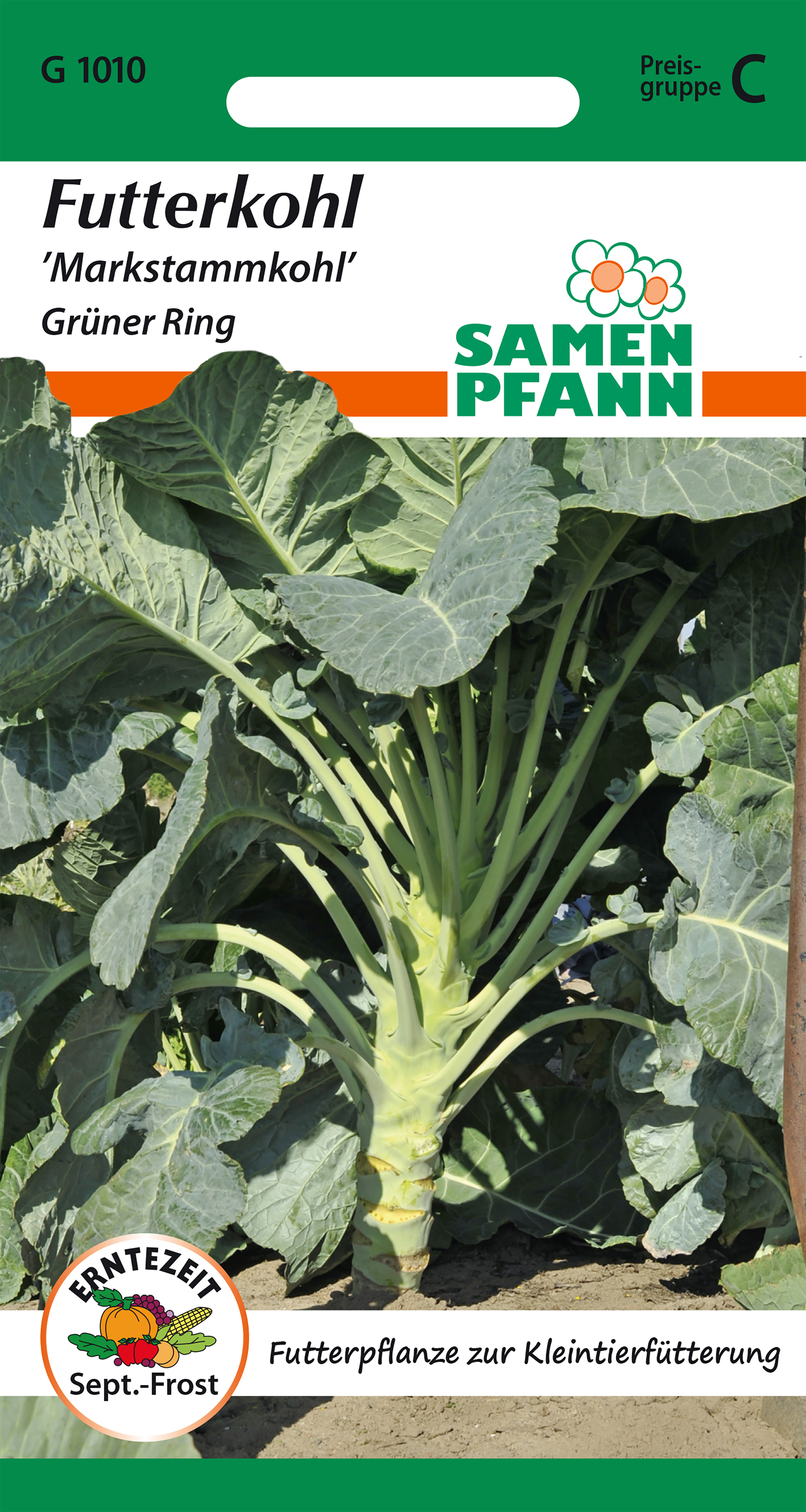 Forage cabbage approx 200 seeds Seed Pfann