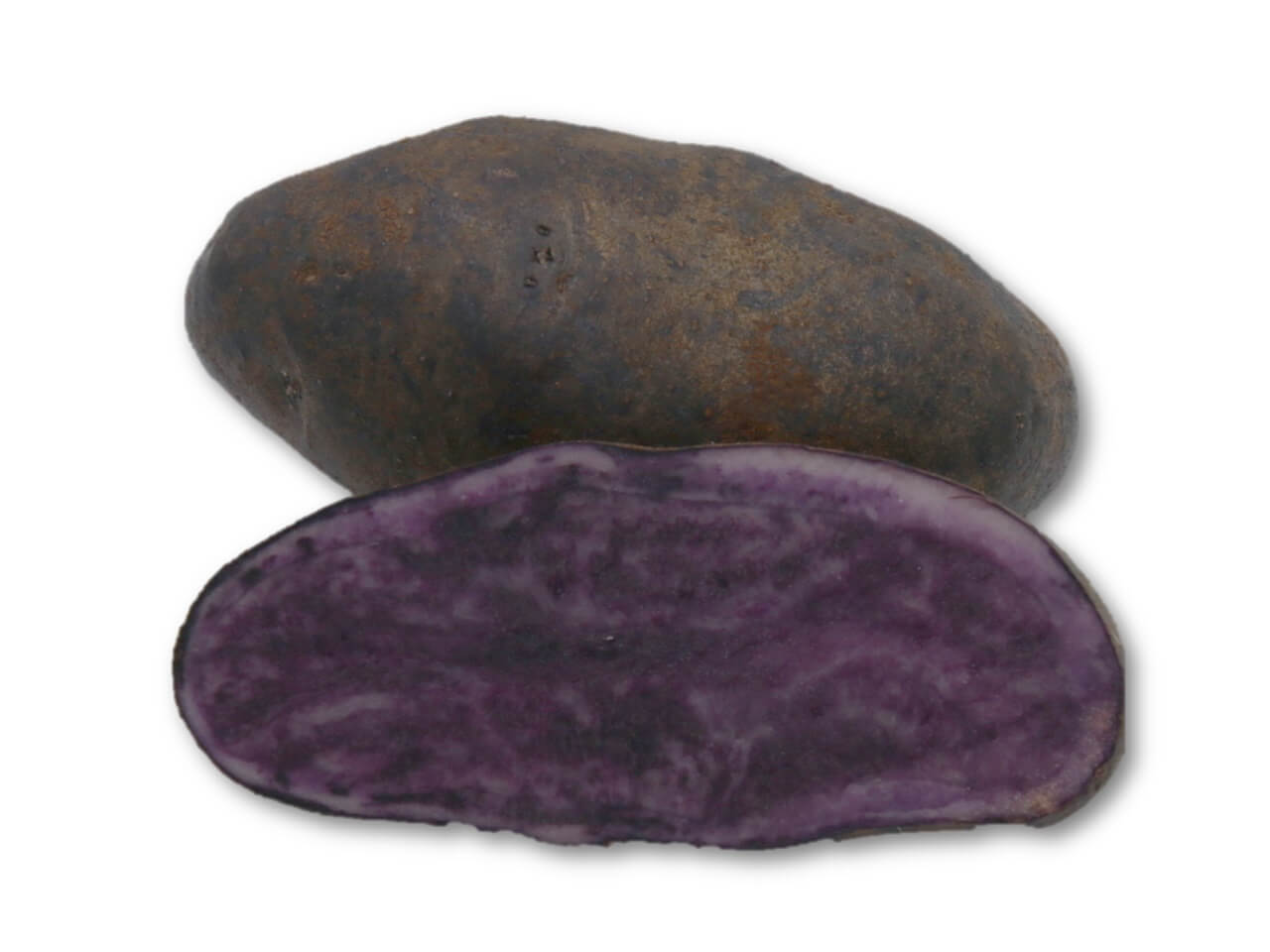Potato seed tuber purple "Blaue St. Galler" 50 pcs