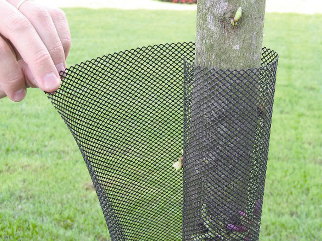 Grilă de protecție pentru copac răsad negru 55 cm  (diametru 11 cm)