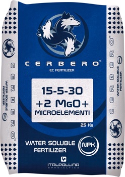 Cerbero îngrășământ solubil în apă 15-5-30+2MgO+TE 25 kg
