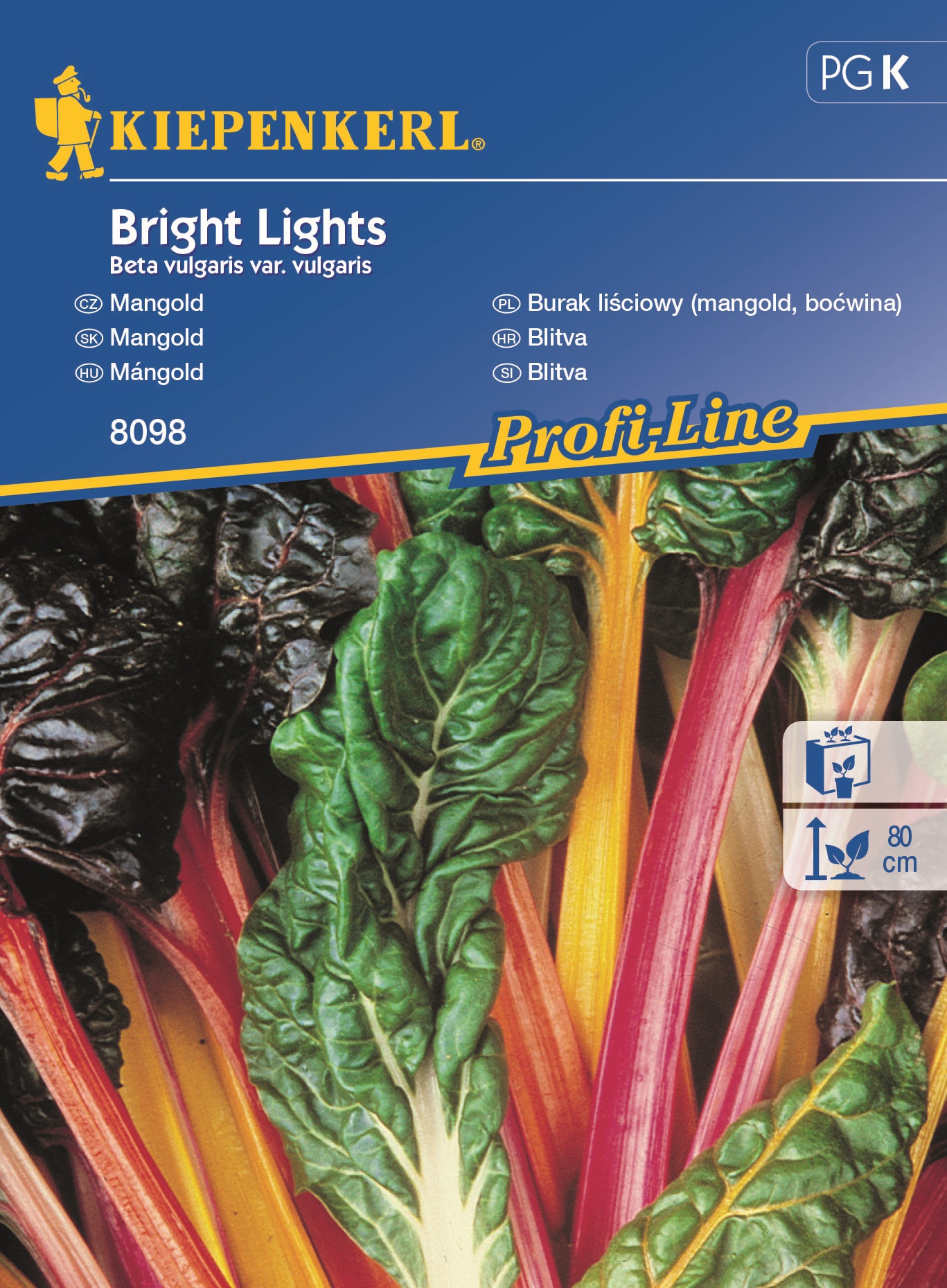Mangold Bright Lights Kiepenkerl 30 semințe