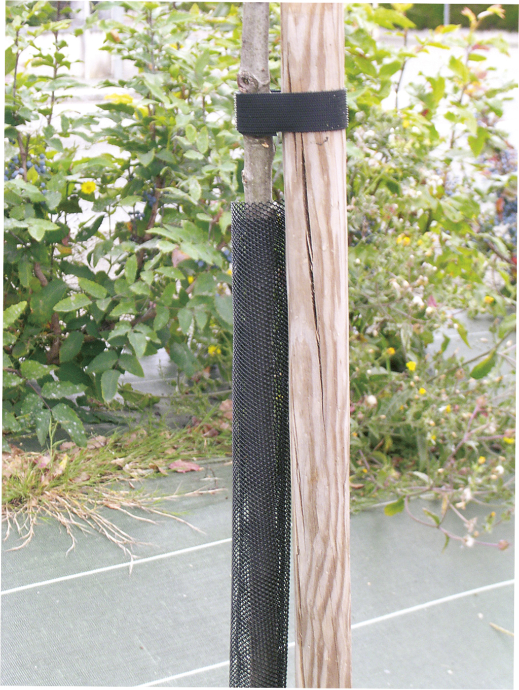 Grilă de protecție pentru copac răsad fekete 110 cm (diametru 6 cm )