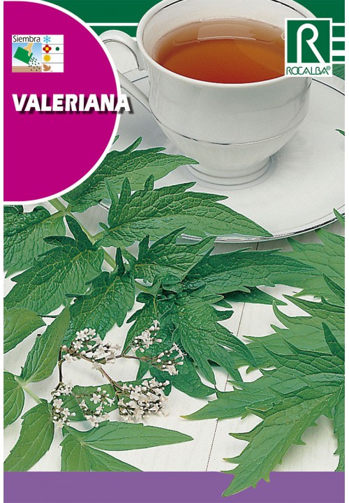 Valeriana Rocalba
