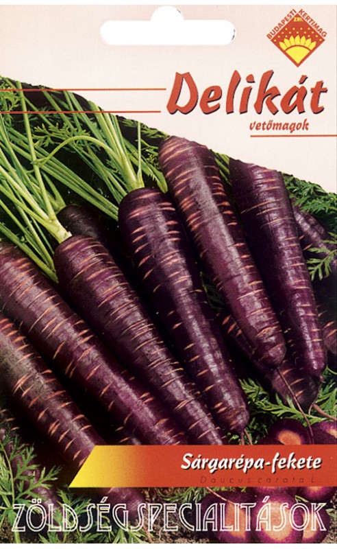 Morcovi negri BK 180 semințe