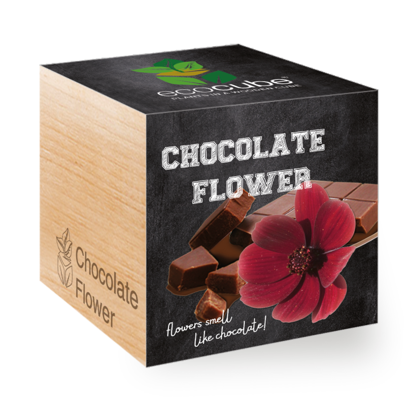 ecocube - floare de ciocolată