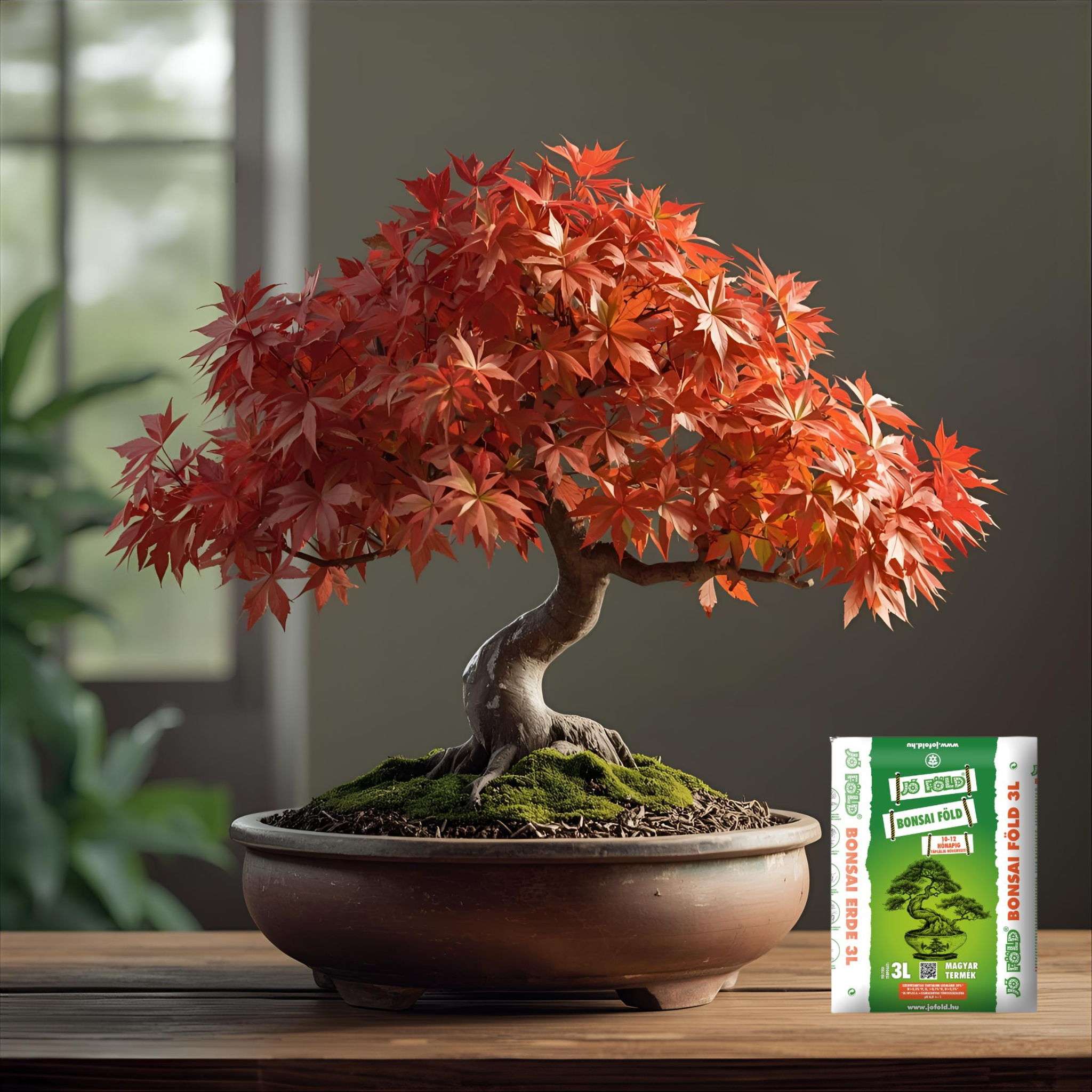 Sol Bonsai Good-Ground 3 l