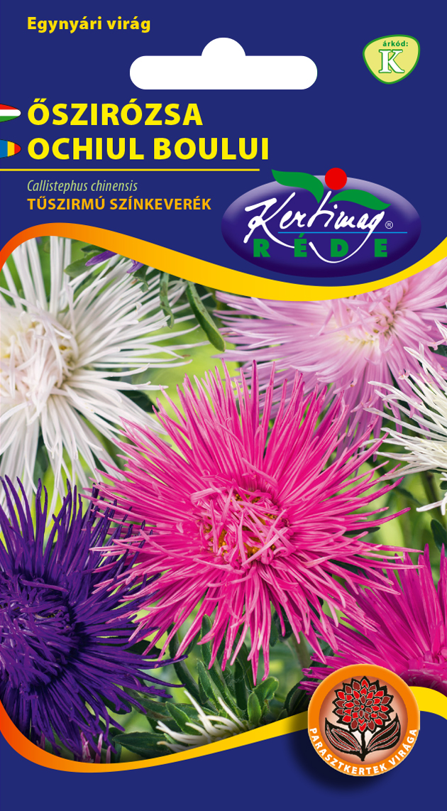 Steluţe de toamnă (Aster) cu petale subţiri ca acele, amestec de culori 1 gr