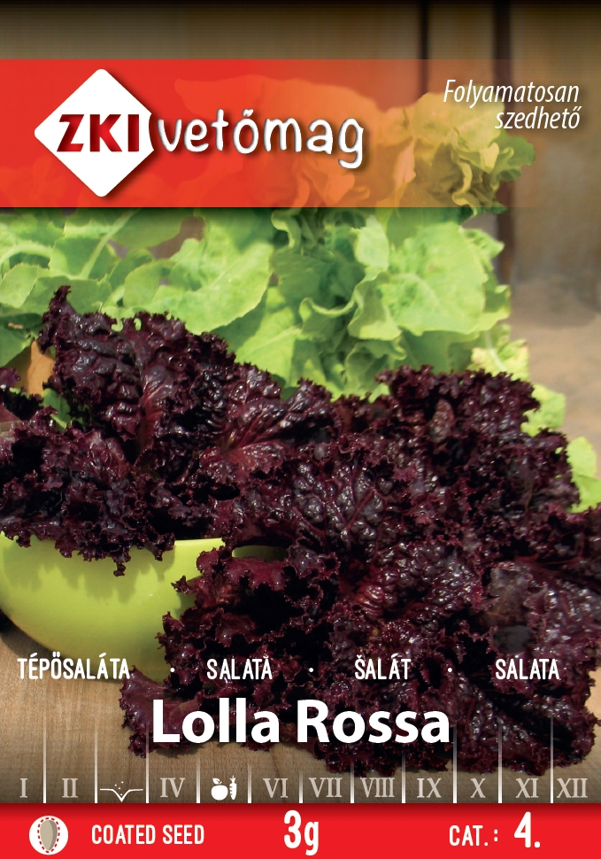 Salată creață Lolla Rossa 3g ZKI
