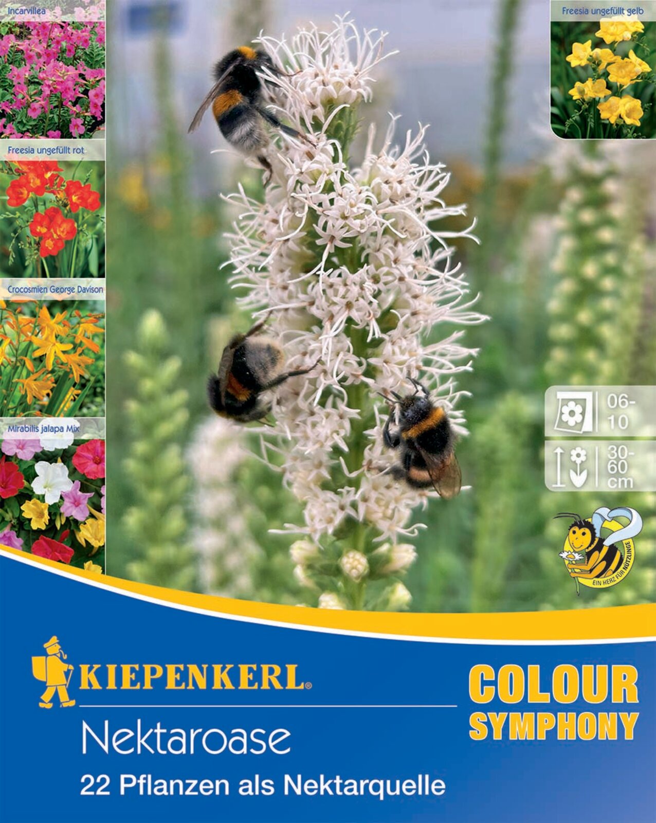 Bulb de flori Nectar Oasis Kiepenkerl 22 buc