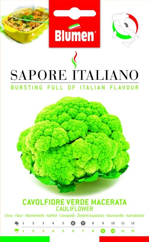 Conopidă verde italiană  regiunea Marche 1.5g