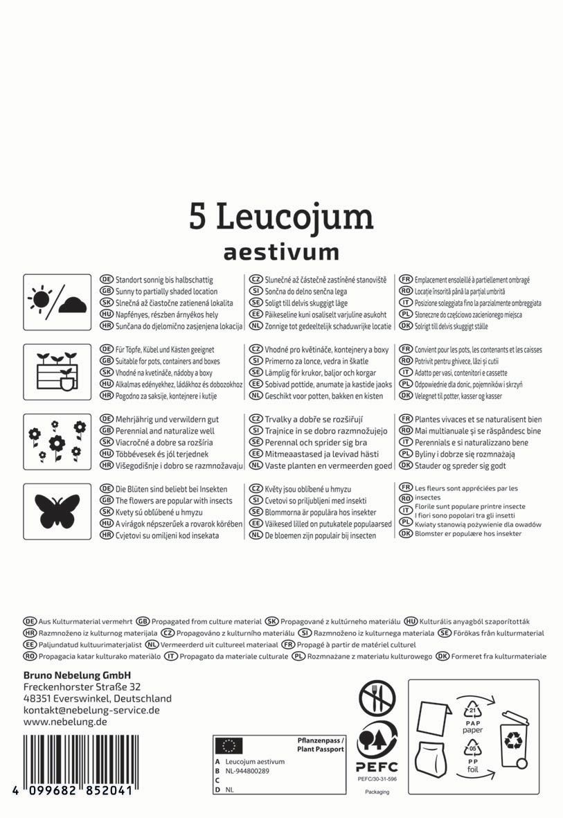 Virághagyma Tavaszi tőzike (Leucojum aestivum) Kiepenkerl 5 db