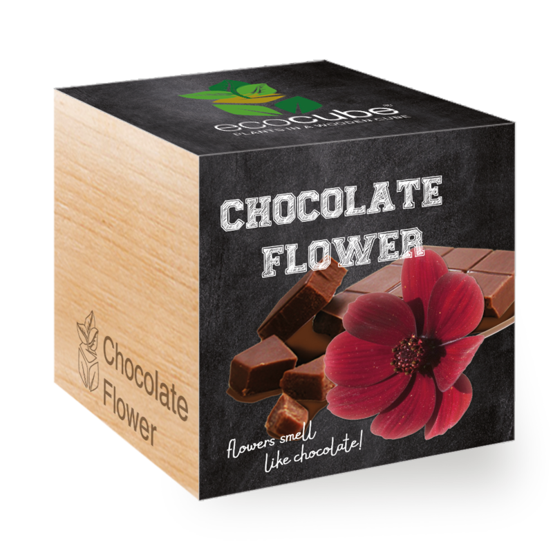 ecocube - Csokoládé virág