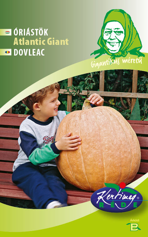 Dovleac gigant Atlantic giant 6 g