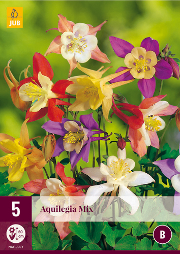Mix de Aquilegia perene (floarea clopoțelului de grădină) 5 bucăți JUB